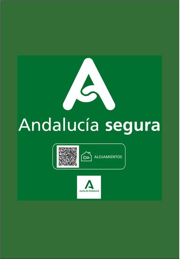 Holidays2Malaga Victoria High Speed Wifi Εξωτερικό φωτογραφία